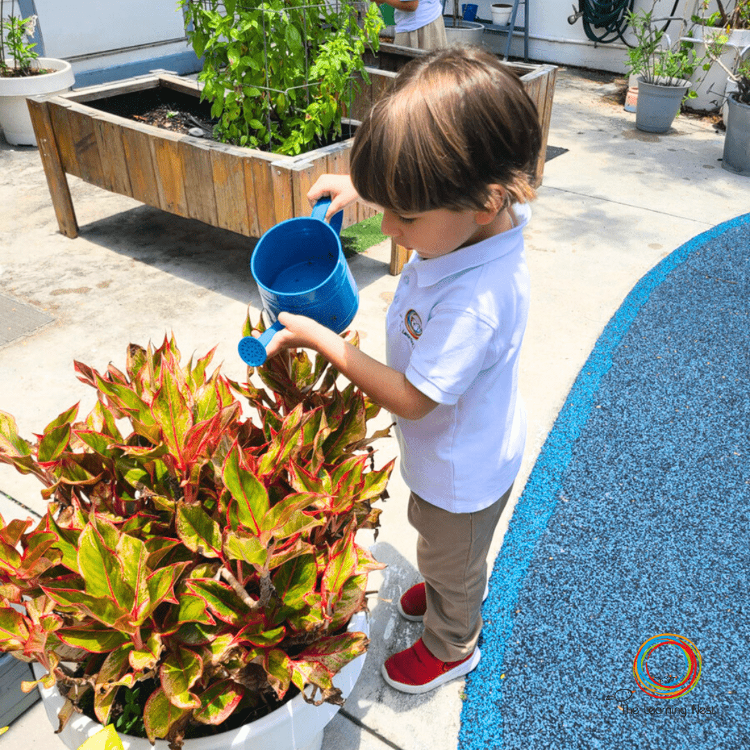 Personalized Montessori learning